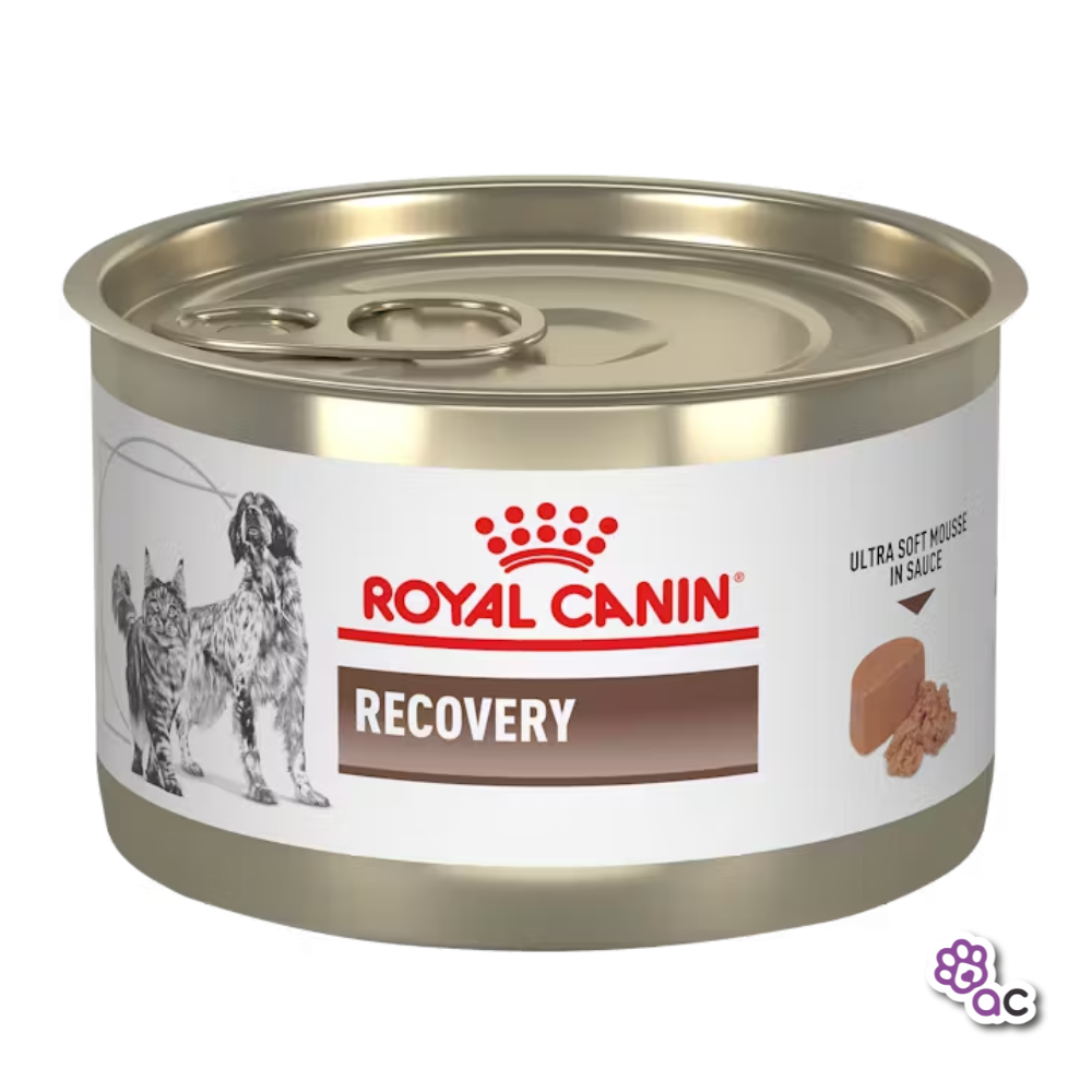 ROYAL CANIN RECOVERY LATA