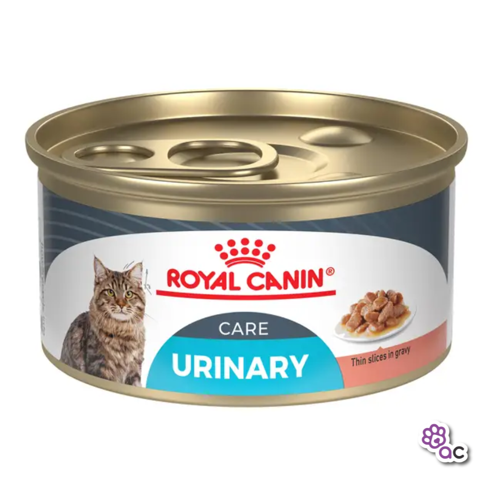 ROYAL CANIN HAIRBALL CARE LATA