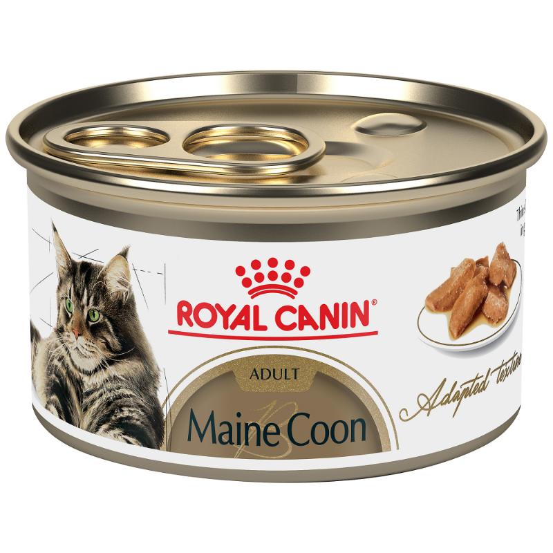 ROYAL CANIN  MAINE COON LATA 85 GRS