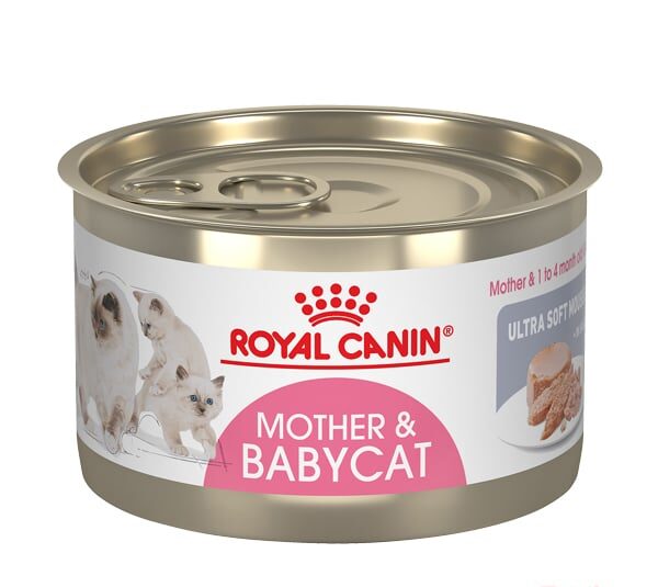 ROYAL CANIN MOTHER&BABYCAT LATA