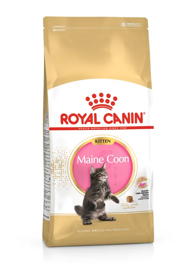 ROYAL CANIN  MAINE COON ADULT 4KG