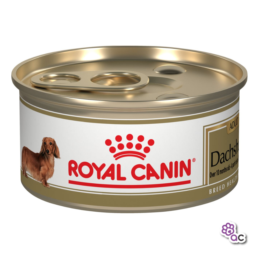 ROYAL CANIN DACHSHUND LATA