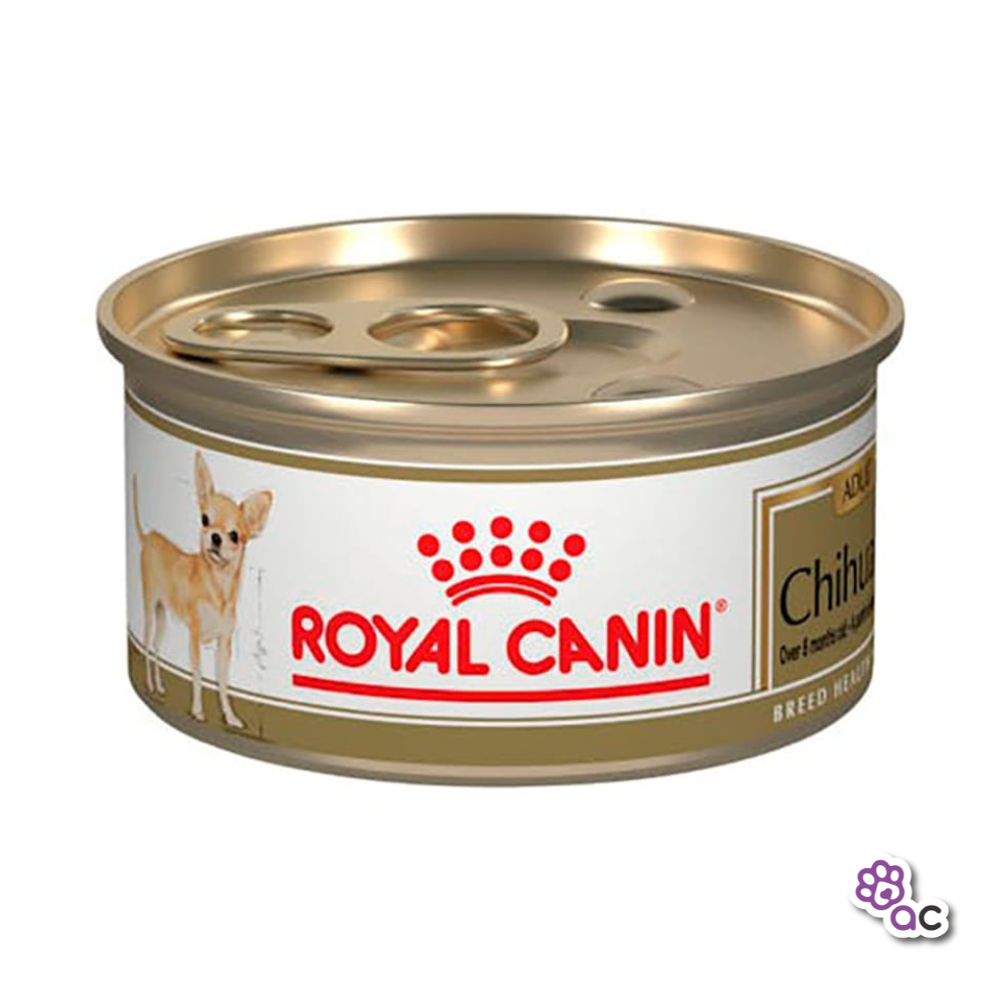 ROYAL CANIN CHIHUAHUA LATA