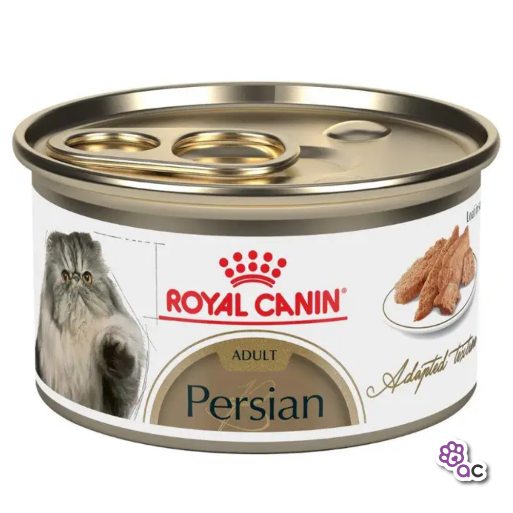 ROYAL CANIN PERSIAN LATA