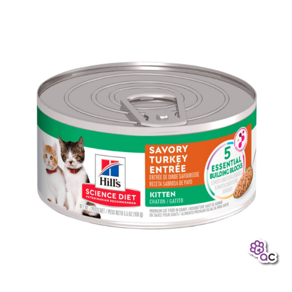 HILLS LATA KITTEN TURKEY FELINO