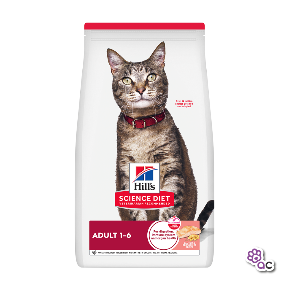 HILLS ADULTO SALMON FELINO