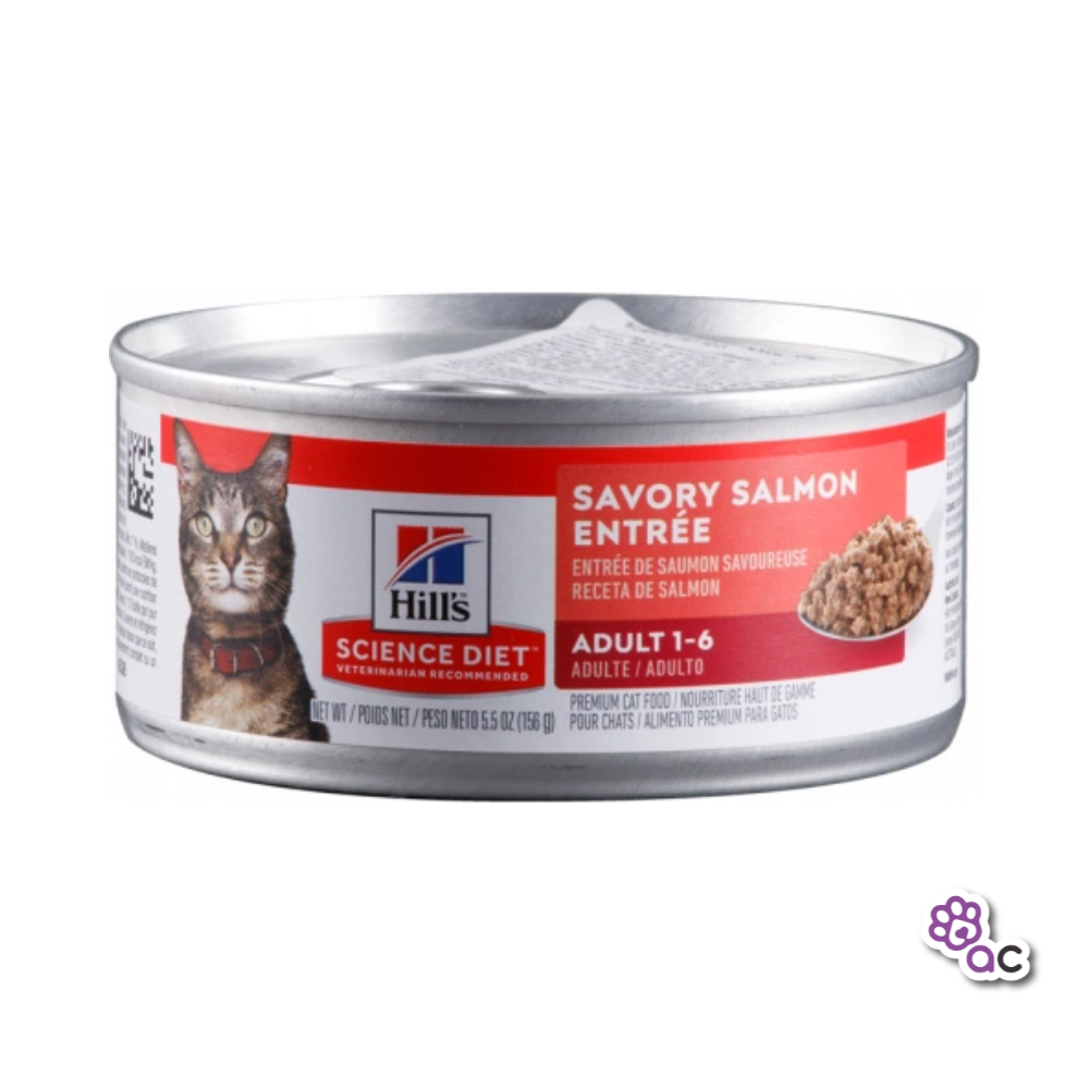 HILLS LATA ADULTO SALMON FELINO