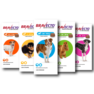 BRAVECTO ANTIPARASITARIO