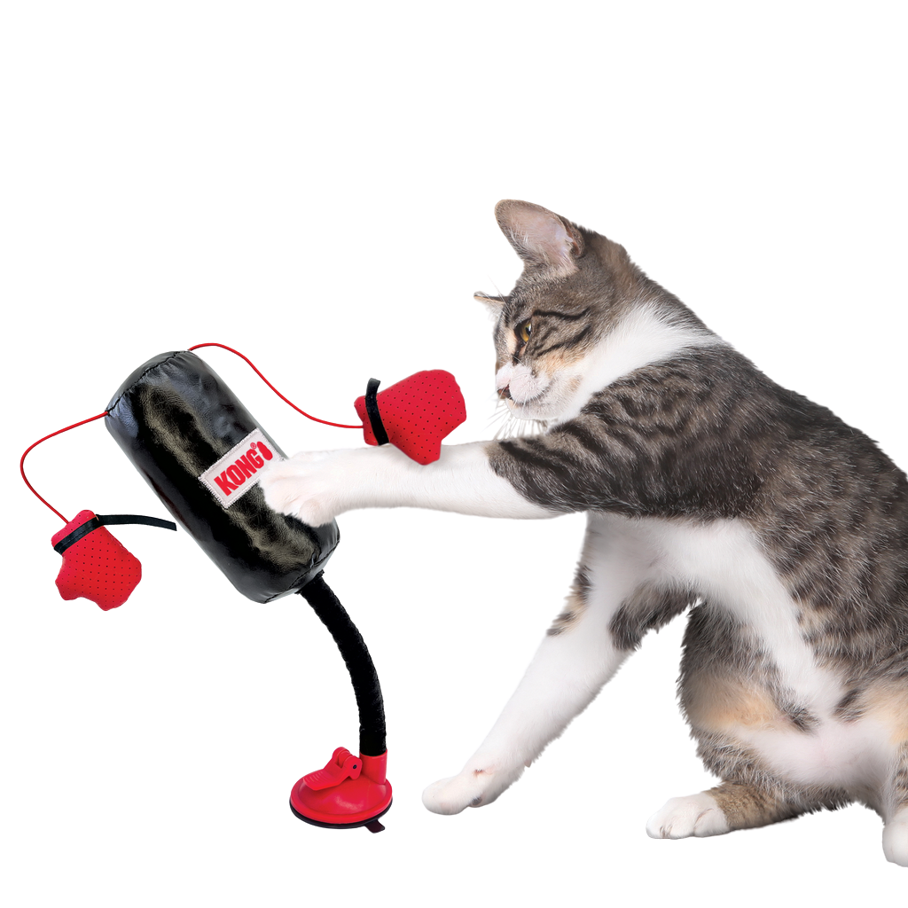 KONG GATO JUGUETE CONNECTS BOXEO SACO