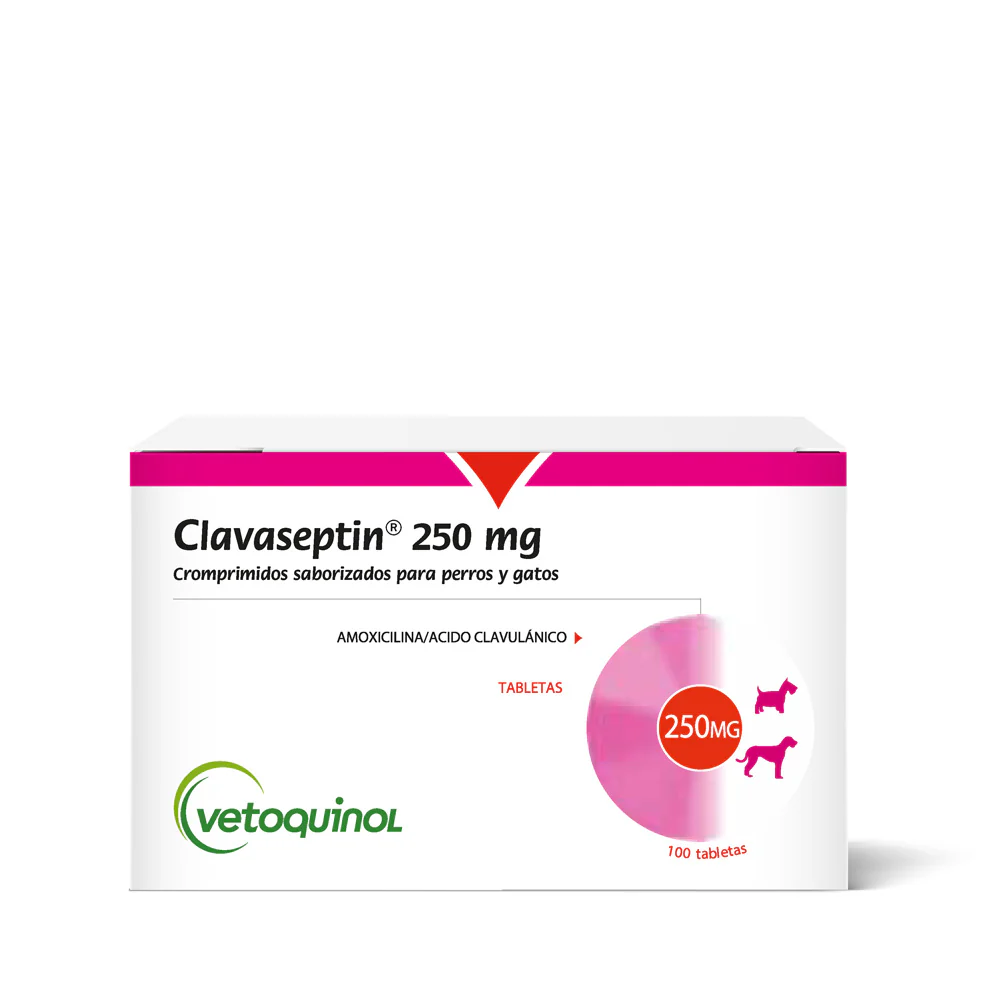 CLEVASEPTIN 250 MG