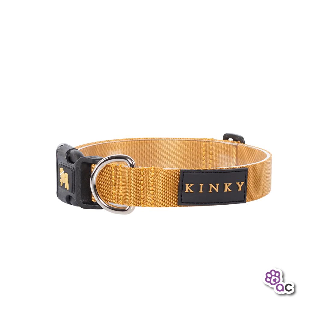 COLLAR KINKY BASICO DORADO