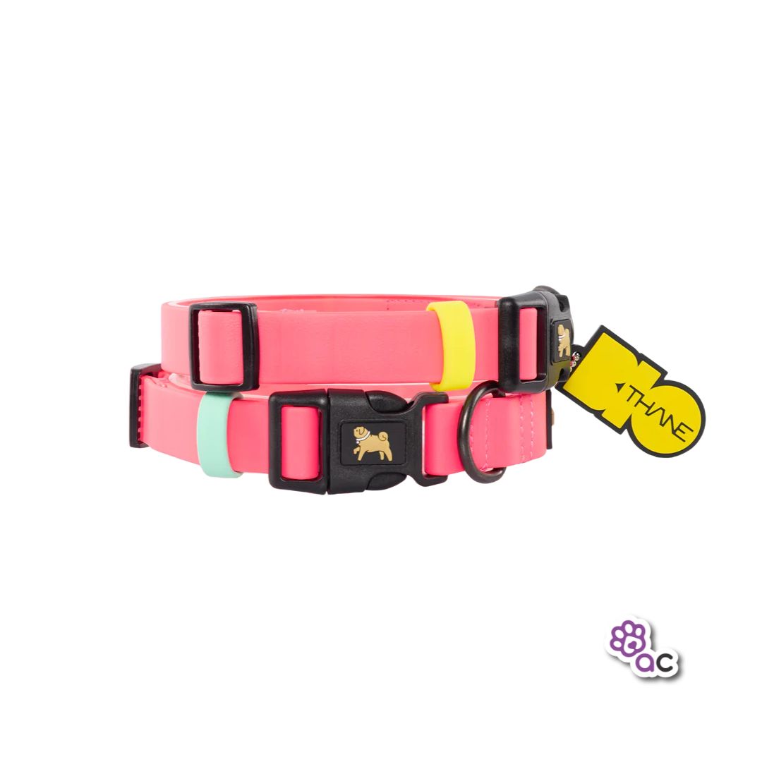 COLLAR KINKY BIOTHANE ROSADO NEÓN