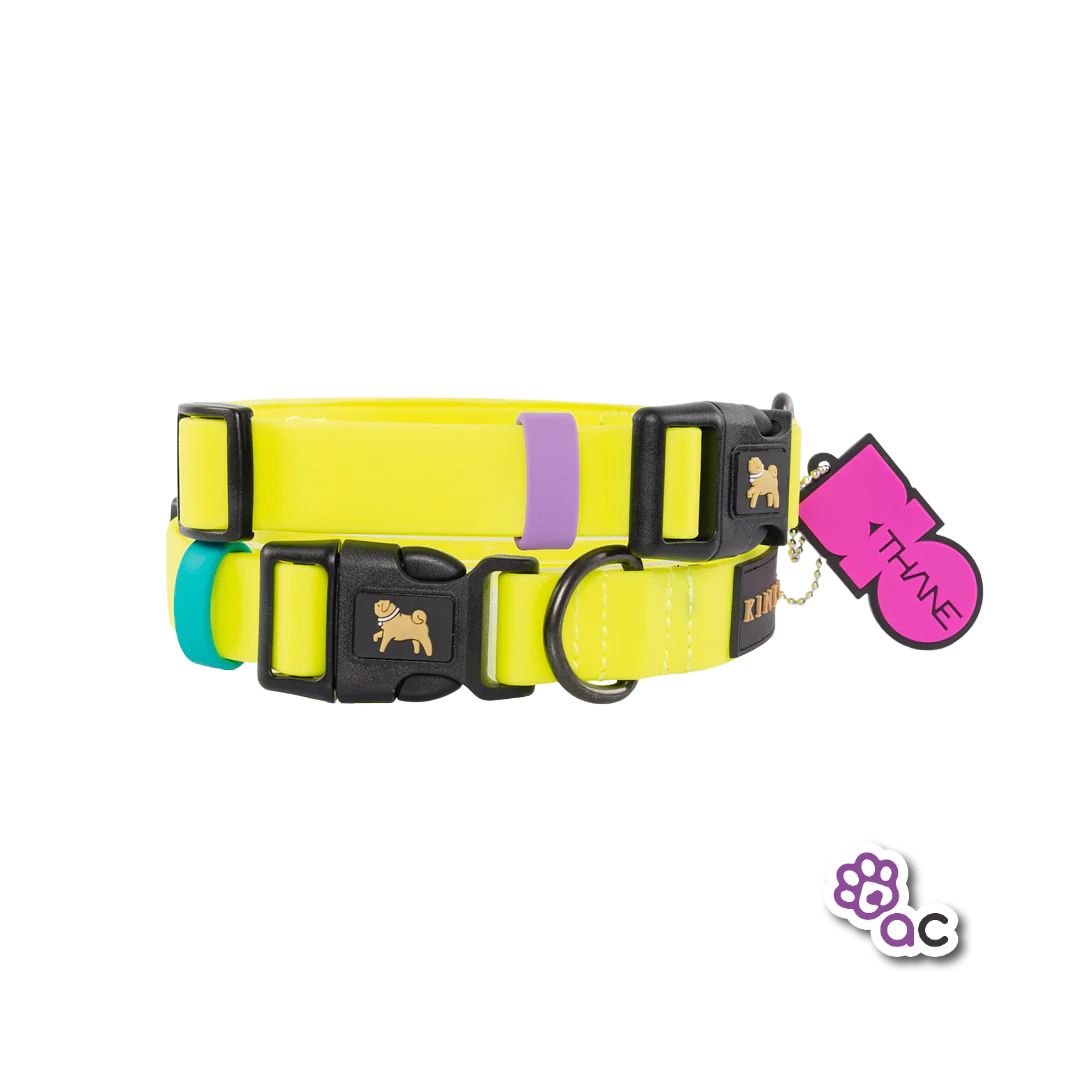 COLLAR KINKY BIOTHANE 520 AMARILLO NEÓN