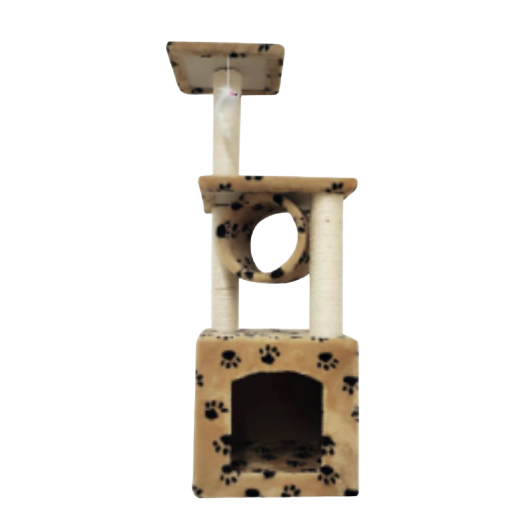 GIMNASIO RASCADOR TORRE MARRO CON HUELLAS