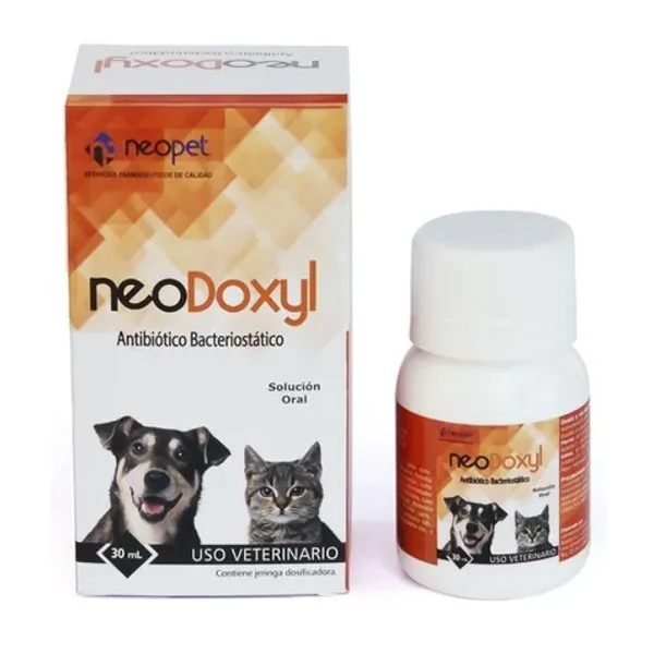 NEODOXYL ANTIBIOTICO BACTERIANO