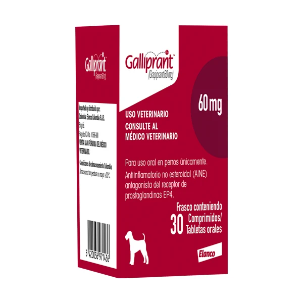 GALLIPRANT 60 MG ANTIINFLAMATORIO