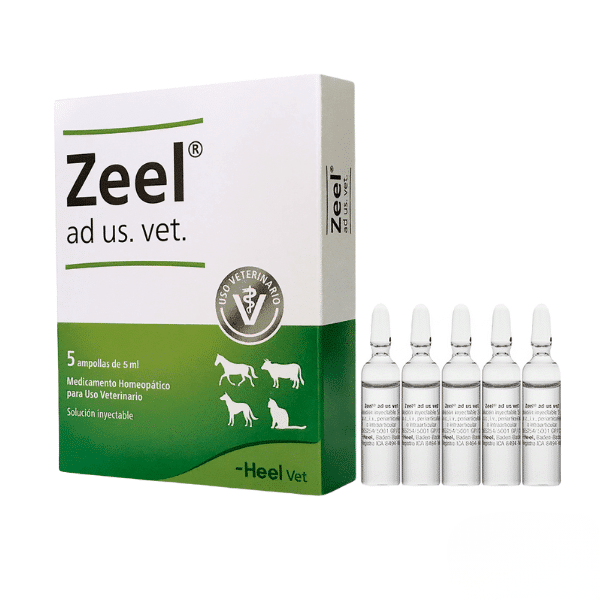 ZEEL T REGENERADOR ARTICULAR