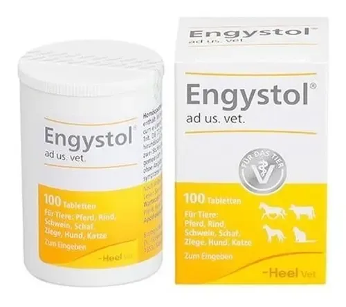ENGYSTOL X PASTILLAS