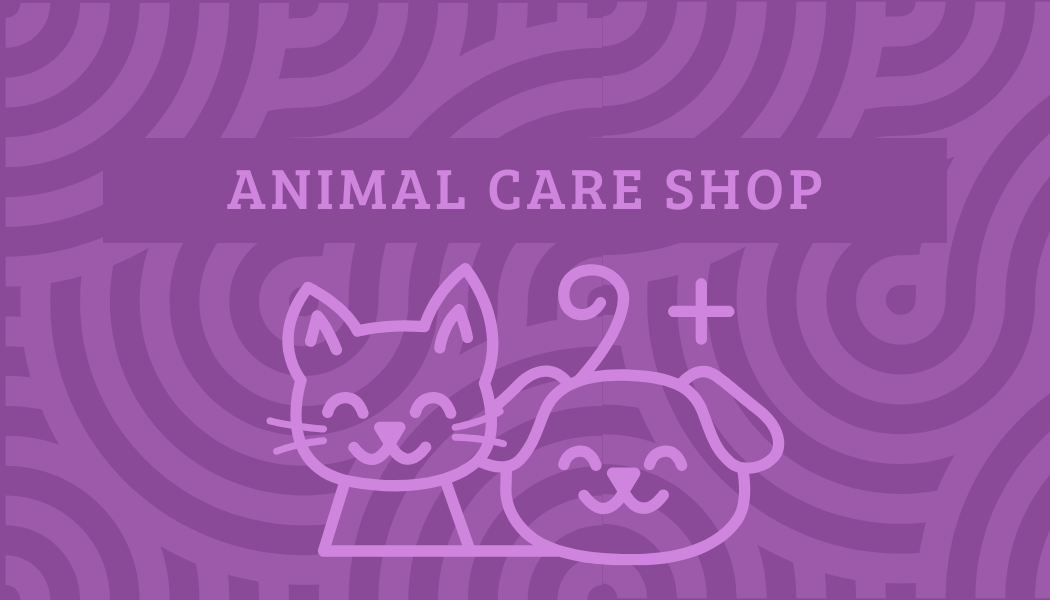 Shop