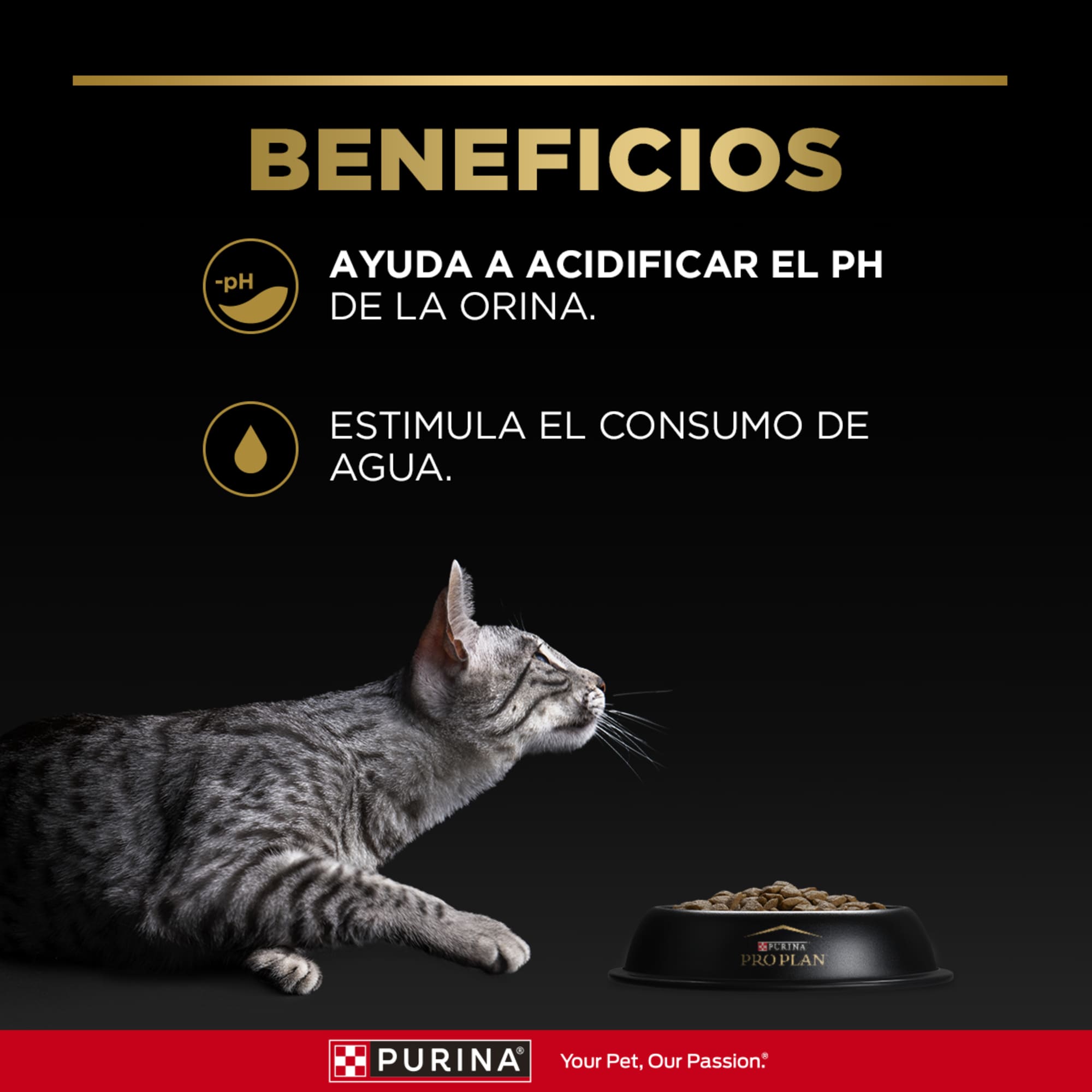 PRO PLAN CAT URINARY - Image 5