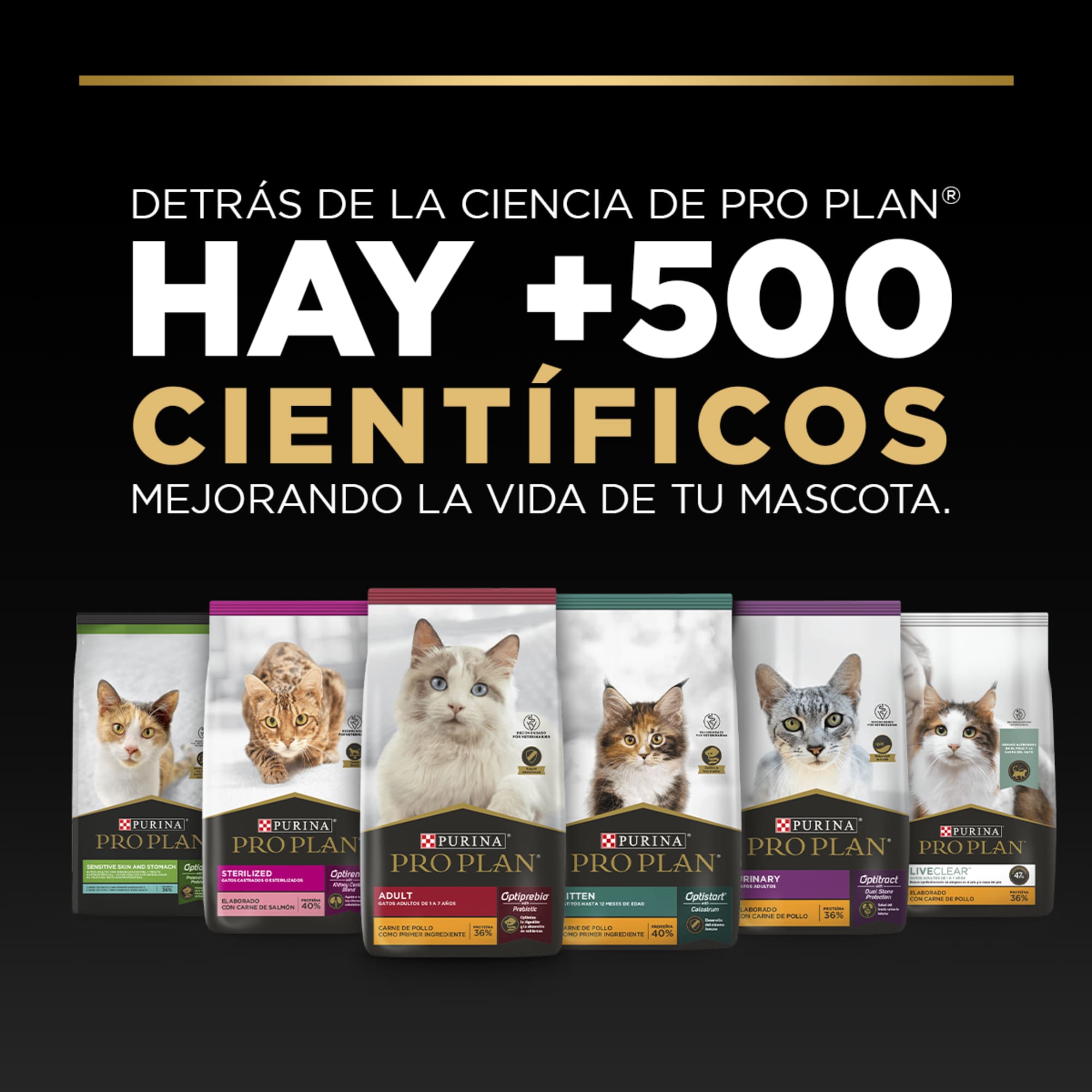 PRO PLAN CAT URINARY - Image 8