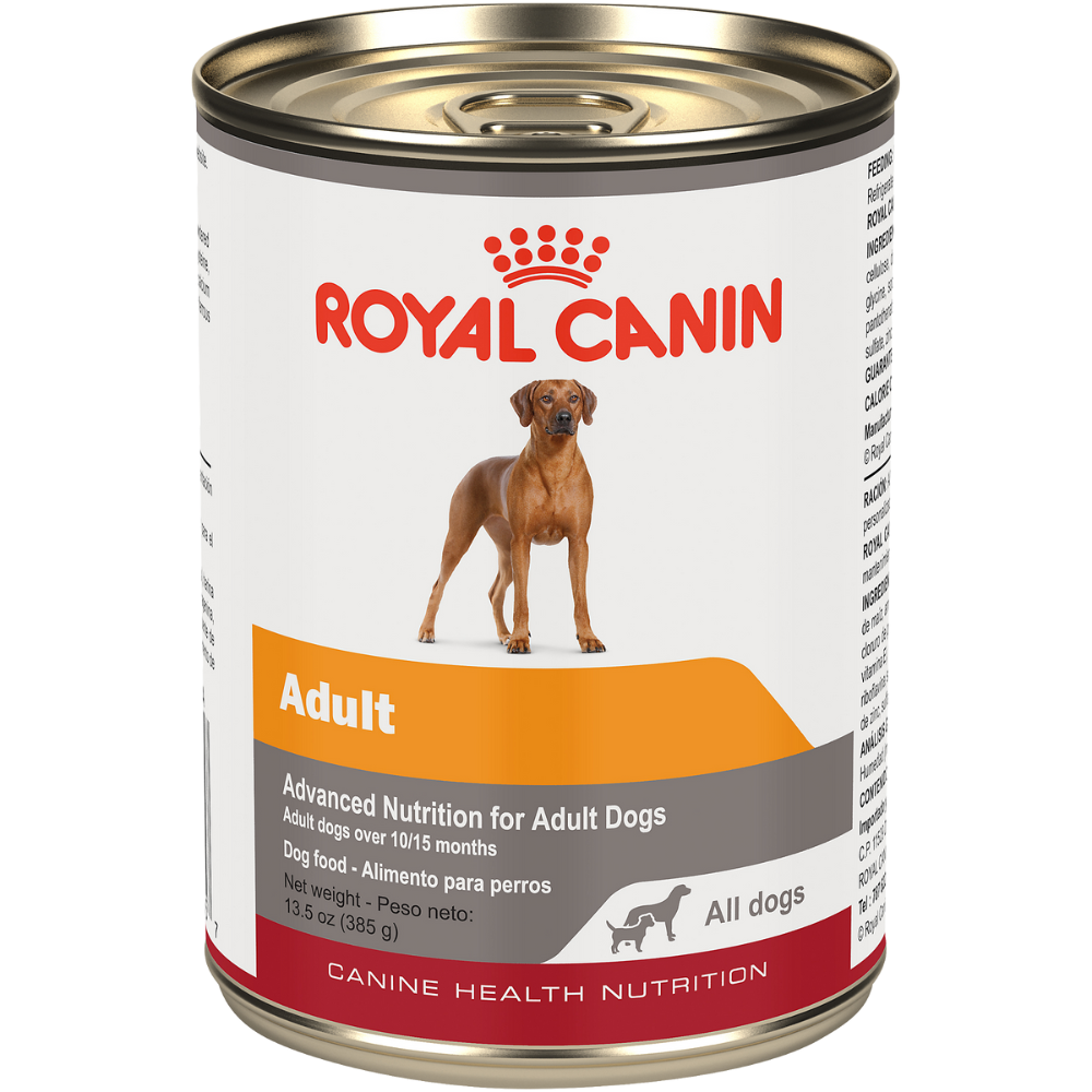 ROYAL CANIN ADULT LATA