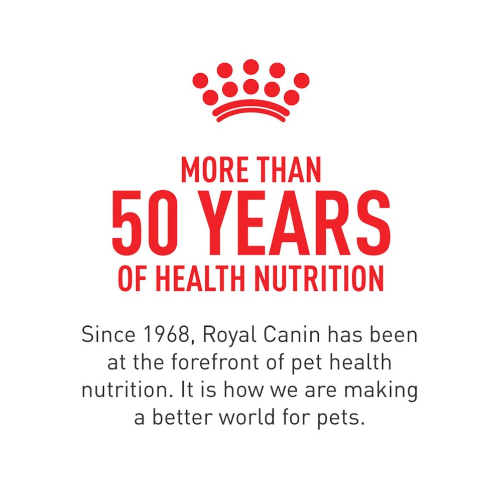 ROYAL CANIN MATURE LATA