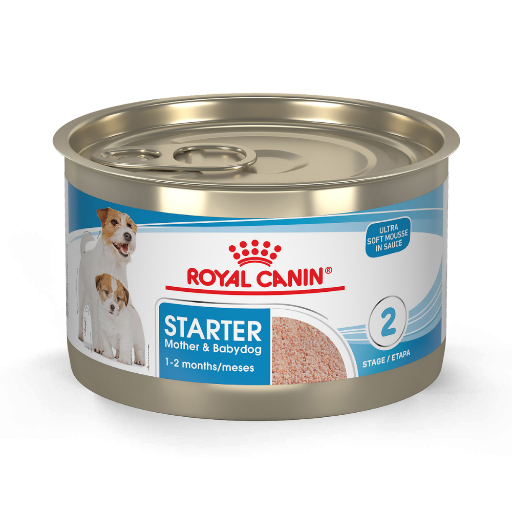 ROYAL CANIN STARTER M&B LATA